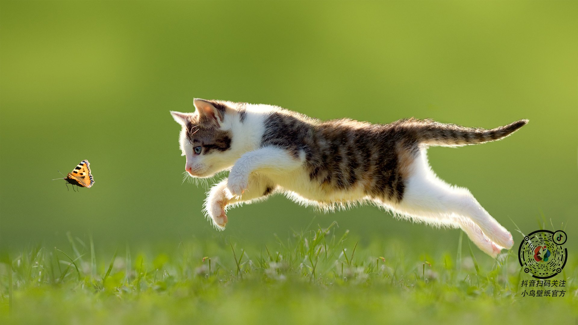 九游登录中心-WRC危险瞬间：赛场上的生死时刻，wrc.